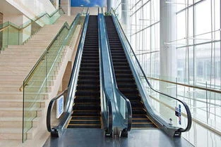 Exhibition Centers Escalator & Moving Walk